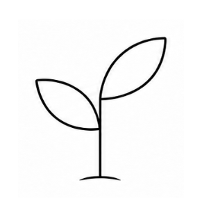 Minimalistische schwarze Strichzeichnung eines Keimlings mit zwei Blättern auf weißem Hintergrund.