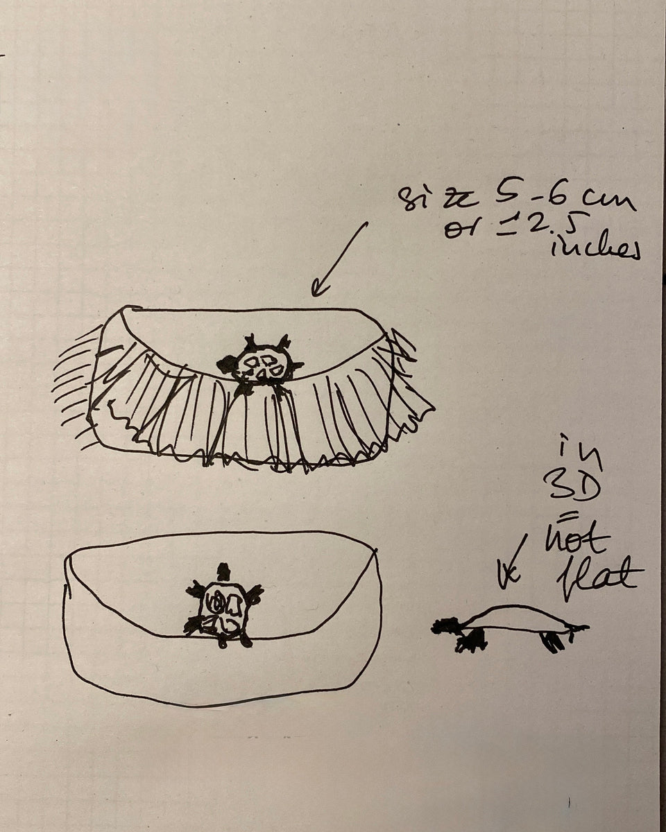 A hand-drawn black ink sketch on graph paper showing two views of a turtle with handwritten notes about size (5-6 cm or 2.5 inches) and whether it is 3D or flat.