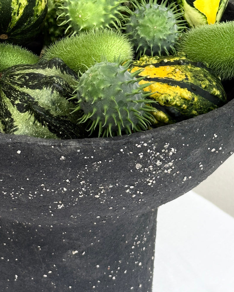 A close-up of a black speckled planter made from paper pulp with lime and filled with decorative gourds and pumpkins, set against a white background.