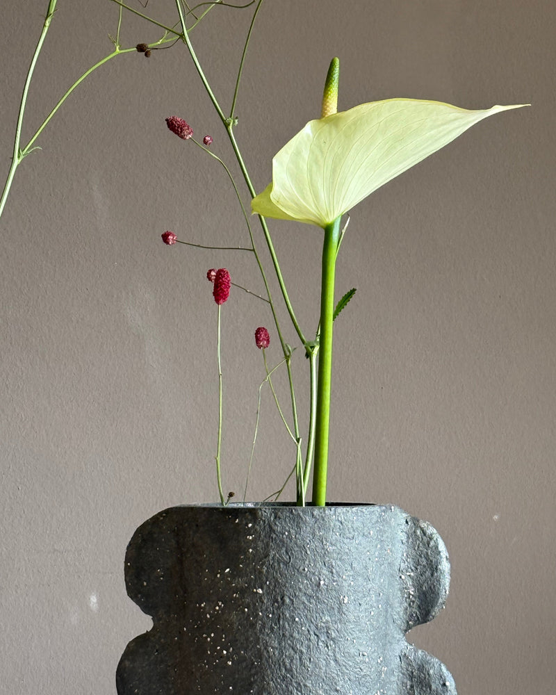 A minimalist floral arrangement featuring a pale yellow calla lily and delicate red wildflower stems in a dark textured ceramic pot against a neutral taupe background.