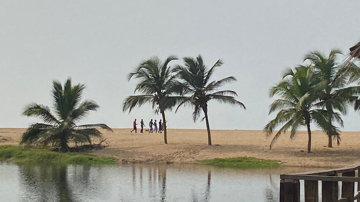 A scenic beach landscape with several palm trees on sandy ground, a small group of people walking near the center, calm water in the foreground, and a pale overcast sky.